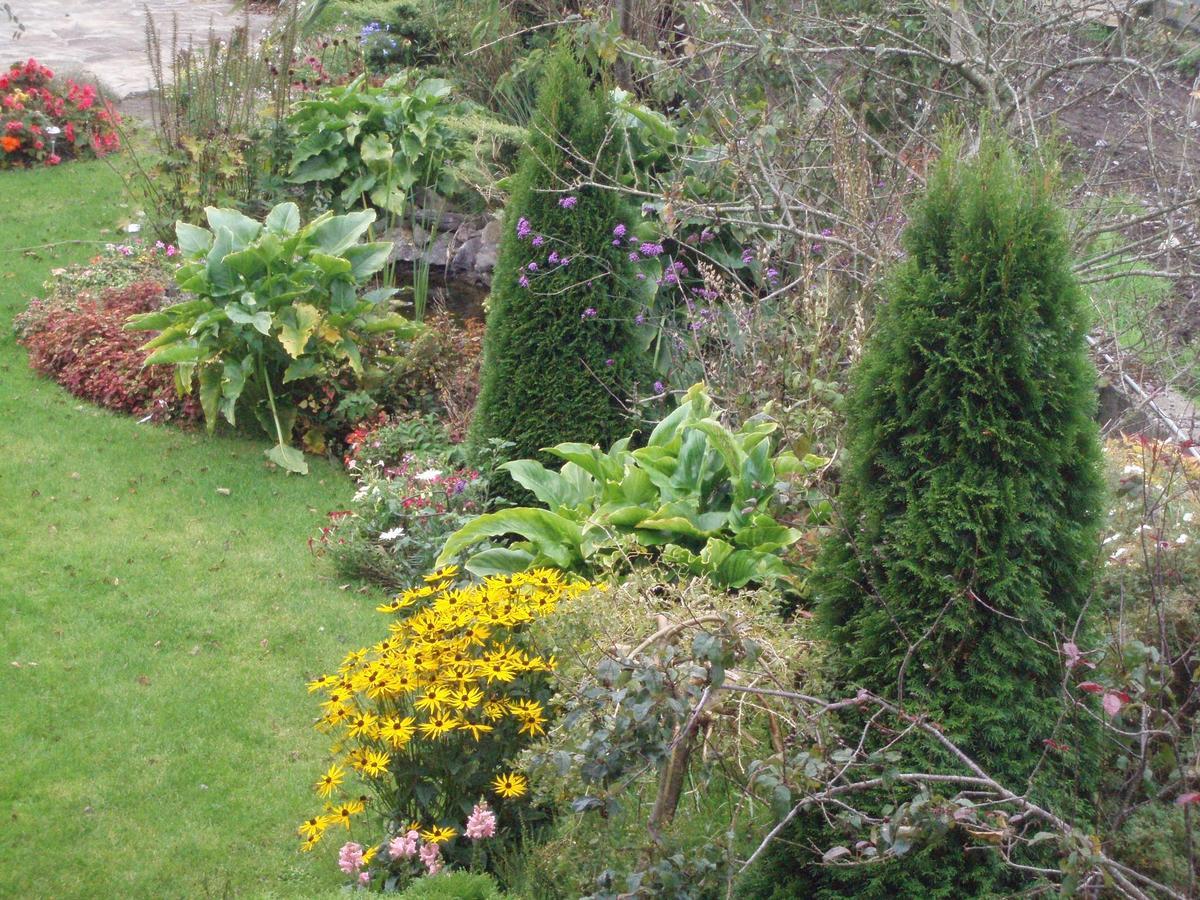 Rosdarrig Bed & Breakfast Boyle Zewnętrze zdjęcie